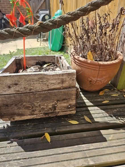 Photo of free 2 medium pots with sold (Bracknell, RG12) #1