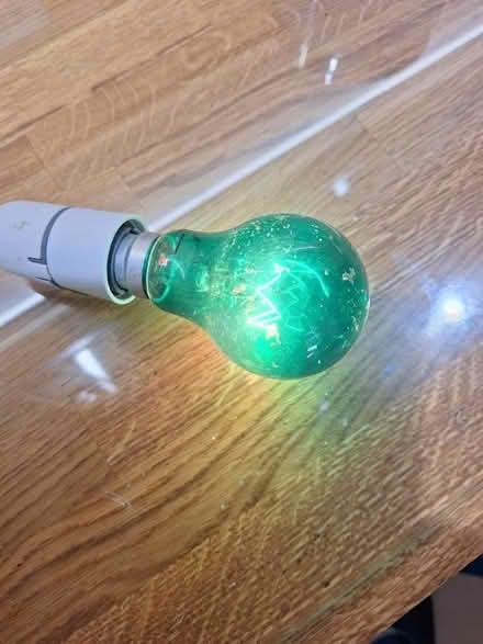 Photo of free 25 watt bc coloured festoon lamps (Hibaldstow) #4