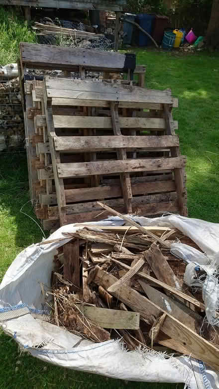 Photo of free 6 used pallets ex garden (Caversham) #1