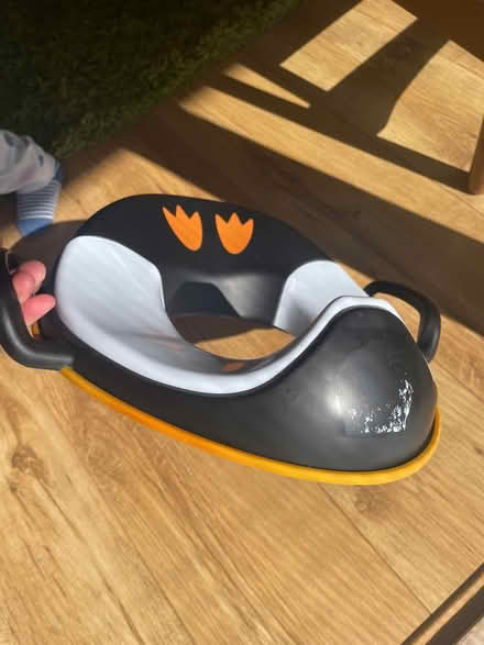 Photo of free Penguin training toilet seat (Hackney E8) #2