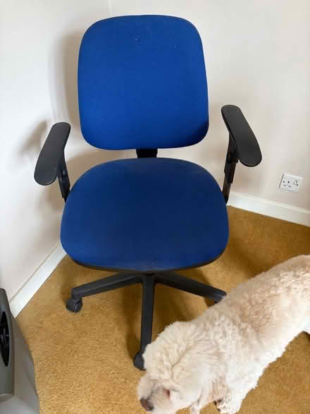 Photo of free Desk chair (Epsom KT18) #1