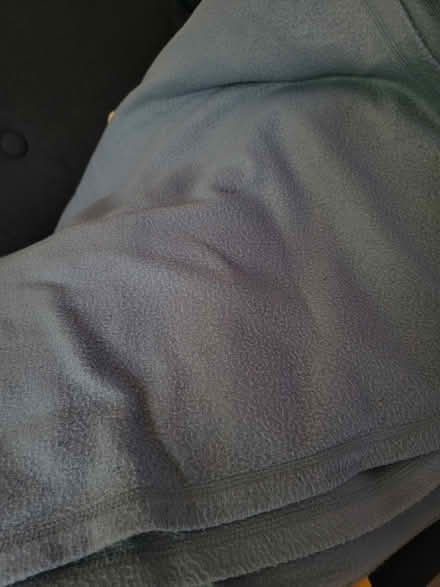 Photo of free Twin fleece blanket (North Oakland) #1