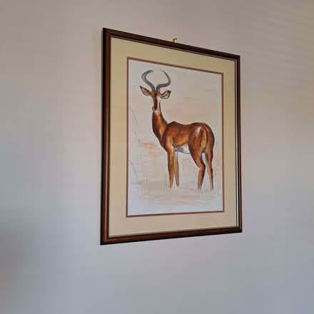 Photo of free Original Watercolour by Sophie (unknown artist) in frame. (Charminster BH8) #1