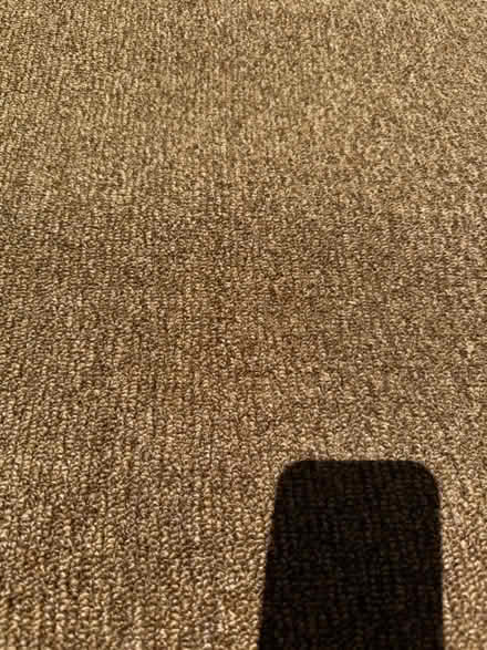 Photo of free Carpet remnants (Terra Linda) #3