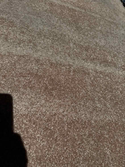 Photo of free Carpet remnants (Terra Linda) #4