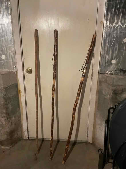 Photo of free Walking sticks (downtown) #1