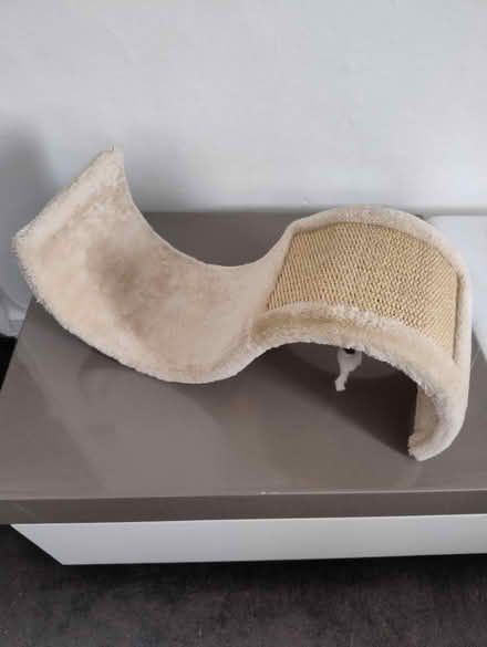 Photo of free Cat scratcher with toy (North Kensington W10) #1