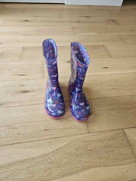 Photo of free Wellies kids size 12 (North Tonbridge TN10) #3