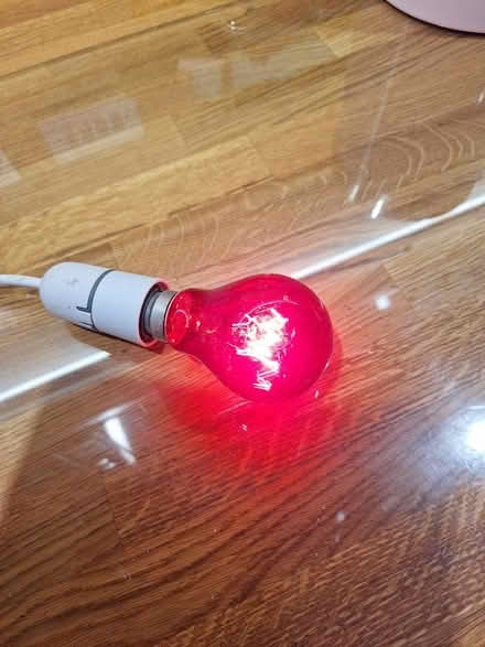 Photo of free 25 watt bc coloured festoon lamps (Hibaldstow) #3