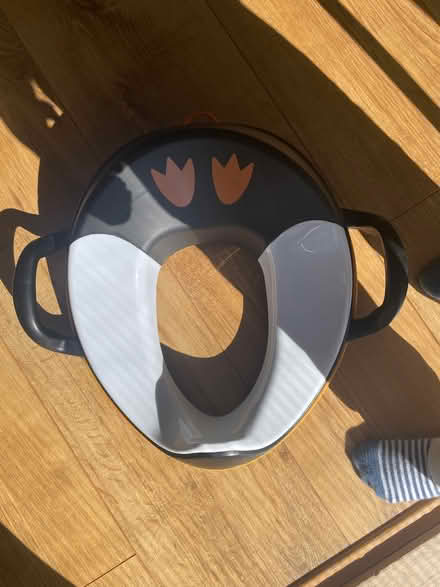 Photo of free Penguin training toilet seat (Hackney E8) #1
