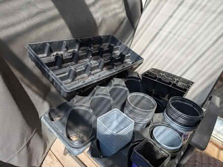 Photo of free Plant pots and trays (Chinatown / Little Italy) #2