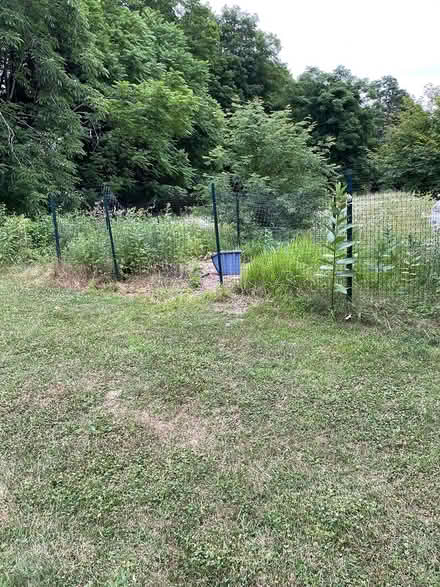 Photo of free Deer fence, rolled up (Stone Ridge, NY) #1