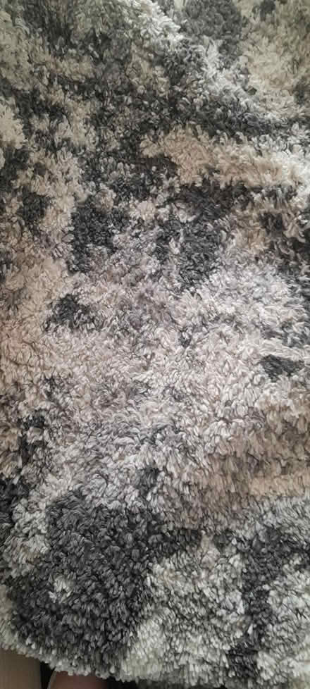 Photo of free Rug (Clondalkin) #1