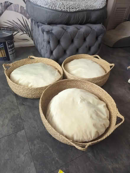 Photo of free 1 cat / small dog bed never used (Chessington KT9) #1