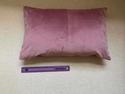 Photo of free Pink Velvet cushion 45x30 cm (Maida Vale W9) #1
