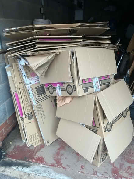Photo of free Packing boxes & paper, bubble wrap (TF1) #1