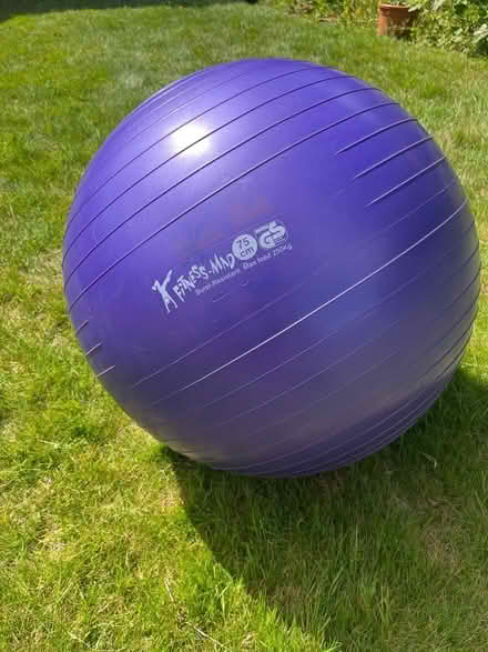 Photo of free exercise Ball (Newick BN8) #1
