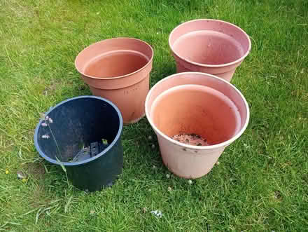 Photo of free Plastic flower pots (Garden City OX5) #1