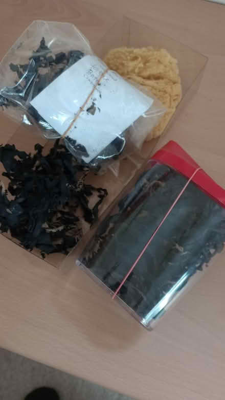 Photo of free Seaweed natural hair conditioner (Southbourne BH6) #1