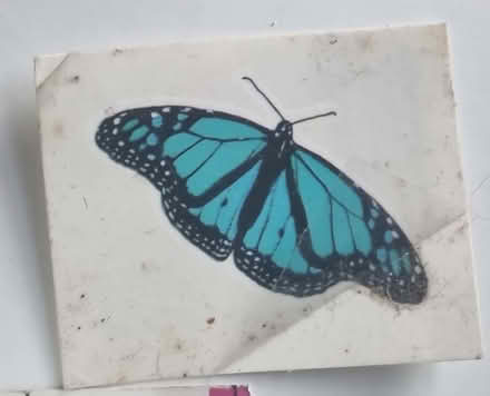 Photo of free Temporary Tattoo (Levenshulme M19) #1