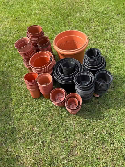 Photo of free Plastic Plant Pots (Hedge End SO30) #1