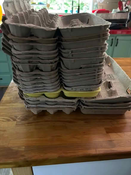 Photo of free egg cartons (Cox Mill Rd., Gordonsville) #1