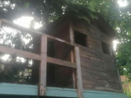 Photo of free Tree/playhouse (Bramley LS13) #1