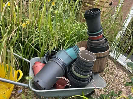 Photo of free Plastic plant pots- various sizes (Gaurlford WR14) #1