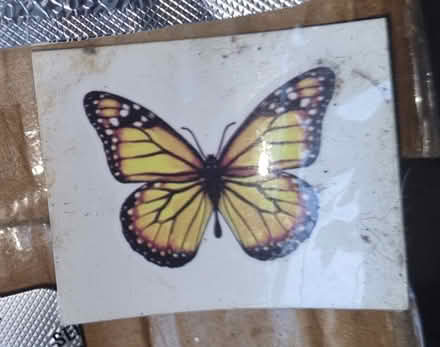 Photo of free Temporary Tattoo #2 (Levenshulme M19) #1