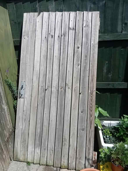Photo of free Tall gate (Buriton GU31) #1