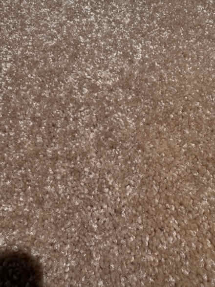 Photo of free Carpet off-cuts (Terra Linda) #2