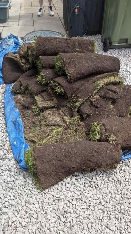 Photo of free Rolls of turf (Attwood close RG21) #2