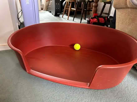 Photo of free Dog Bed Suit Labrador size (Fox Hill S6) #1