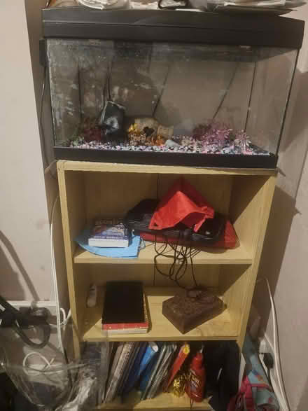 Photo of free Fish tank with book shelf stand (N16 Stoke Newington) #1