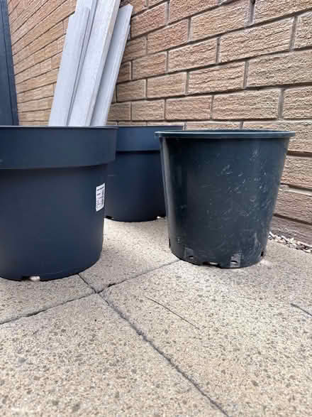 Photo of free 3 plastic plant pots (SG7) #1