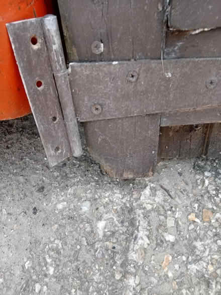 Photo of free Tall gate (Buriton GU31) #4