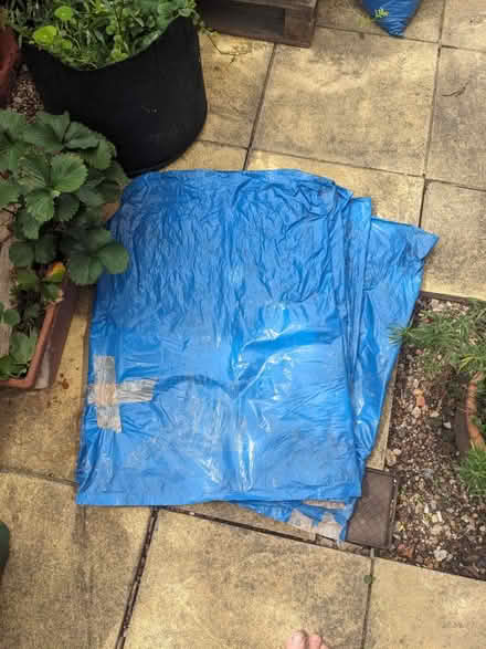 Photo of free 5 refuse bags (Manchester Road, N15) #1
