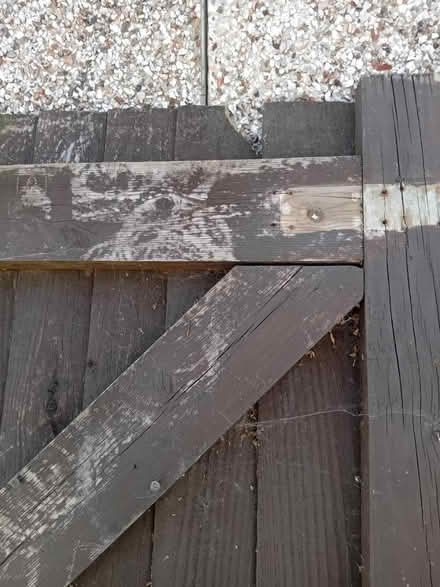 Photo of free Tall gate (Buriton GU31) #3