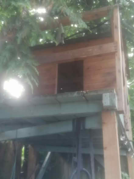 Photo of free Tree/playhouse (Bramley LS13) #2