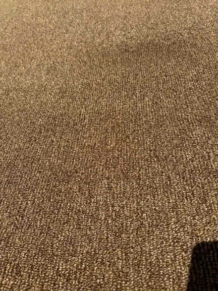 Photo of free Carpet off-cuts (Terra Linda) #3