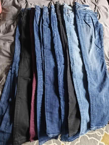 Photo of free Skinny Jeans Size 29T (Near 92nd and Sheridan) #1