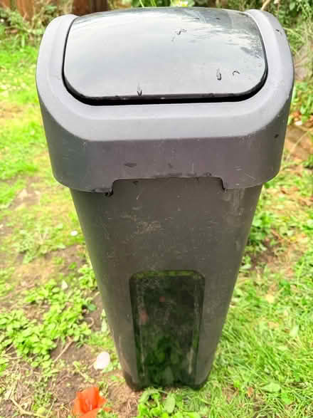 Photo of free Tall plastic swing top bin (Southfields SW18) #1
