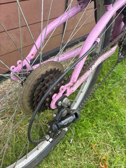 Photo of free Trac ladies bike (Woodley RG6) #3