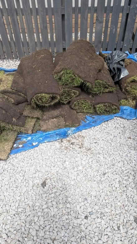 Photo of free Rolls of turf (Attwood close RG21) #1