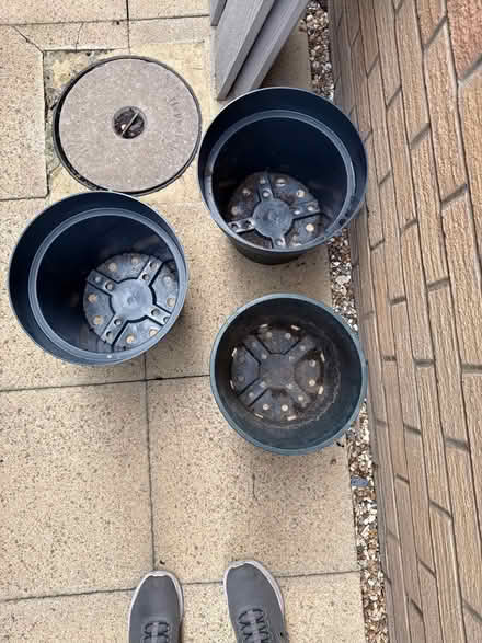 Photo of free 3 plastic plant pots (SG7) #2
