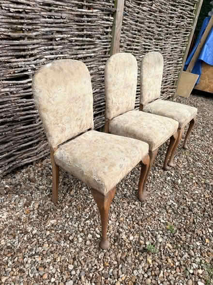Photo of free Three Antique chairs (Stretton, Rutland) #2