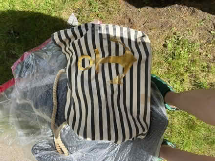 Photo of free Beach bag (Belmont, MA) #1