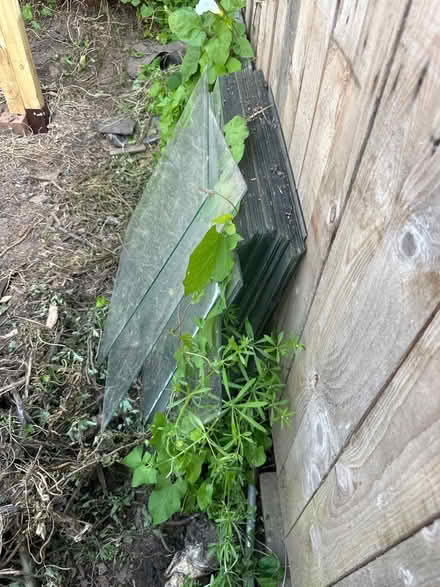 Photo of free Green house glass (Madeley / CW3) #1