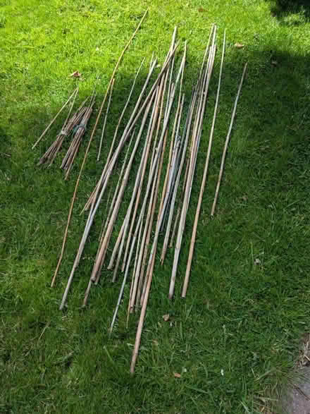 Photo of free Garden canes (Blossomfield B91) #1