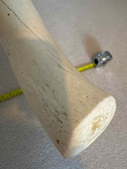 Photo of free Deer Horn (Aylesbury HP19) #2